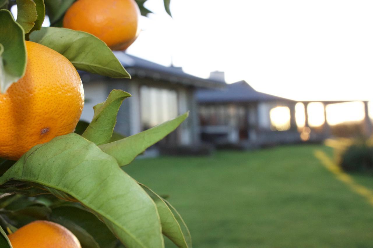 Kalldeen Luxury Accommodation Napier Exterior foto